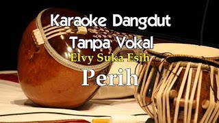 Karaoke Elvy Sukaesih  Perih [upl. by Yrollam71]