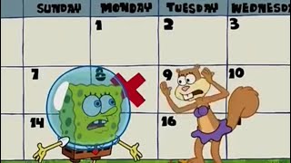 SpongeBob Looks At Sandy’s Calendar spongebob sandychannel hibernation race hideandseek [upl. by Abell550]