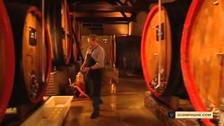 Élaboration du vin la fermentation [upl. by Nimajaneb]