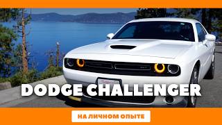 Dodge Challenger когда 300 лошадиных сил  это только начало [upl. by Anirret]