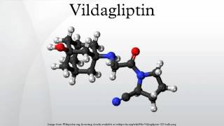 Vildagliptin [upl. by Hoehne]