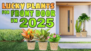 10 LUCKY PLANTS FOR FRONT DOOR IN 2025  Swerteng halaman sa pintuan para sa pera at success 2025 [upl. by Parthen126]