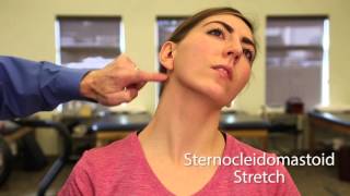 TMJ Exercise Sternocleidomastoid Stretch [upl. by Akived381]