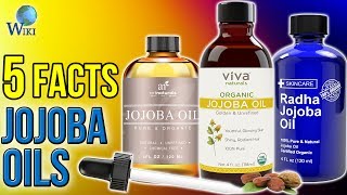 Jojoba Oils 5 Fast Facts [upl. by Atterual472]