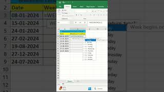 Weeknum Functions  Use Excel Formulas youtubeshorts [upl. by Angele]