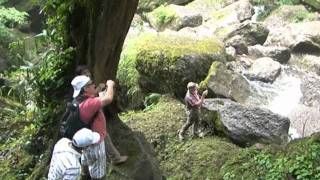 Visite las cataratas El Breo en Juanjuí  San Martín [upl. by Dnomrej]