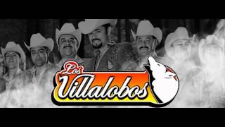 Los Villalobos  Muchachita [upl. by Akli311]