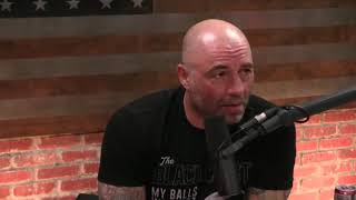 Joe Rogan  PowerfulJRE  talks about Kyokushin Karate [upl. by Terryl]