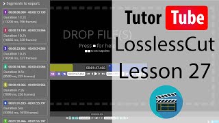 LossLessCut Tutorial  Lesson 27  Tracks Options [upl. by Delmor]