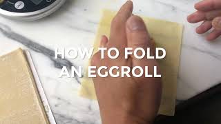 Folding Vegetable Egg Rolls [upl. by Mel]