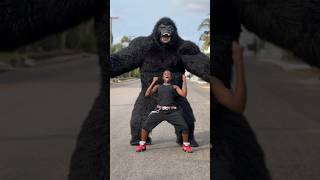 Amapiano dance with King Kong endurancegrand [upl. by Uria]