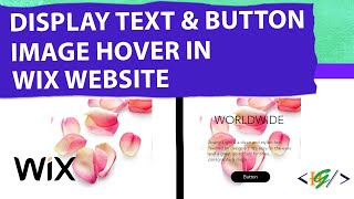 How to Display Button and Text on Image Hover in Wix Website [upl. by Milstone]