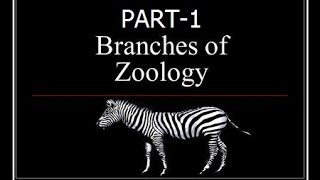 Branches of Zoology Part 1  General science for civil service exam  General knowledge [upl. by Raddy]