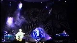 Pooh  Diritto damare  Live 1997 [upl. by Ma467]