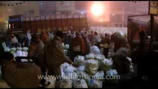 Loading vegetables in Azadpur Sabzi Market New Delhi [upl. by Wilmott160]