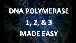 Visual Mnemonic DNA POLYMERASE 1 2 amp 3 [upl. by Crespi]