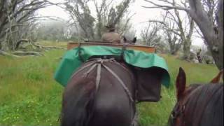 Bogong Horseback Adventures Mount Faintermov [upl. by Aciretal]