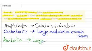 Assertion  Respiratory pathway is an amphibolic pathway Reason  In respiration there is brea [upl. by Cerf]