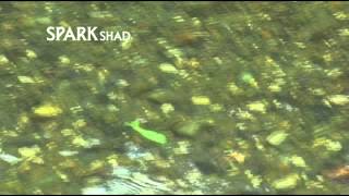 MEGABASS MOVIE 078 SPARK SHAD [upl. by Sahpec939]