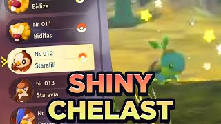 POKÉMON LEGENDEN ARCEUS  SHINY CHELAST ZWIRRKLOPP LUMINEON STARALILI WAUMPEL [upl. by Sherourd]