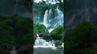 Sham bhi khud hai shortsfeed waterfall travel bollywood ytshorts [upl. by Kearney]