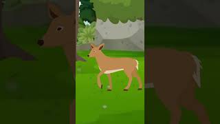 Shak Part 1  One Minute Story  Cartoon  cartoonanimal [upl. by Kendricks]