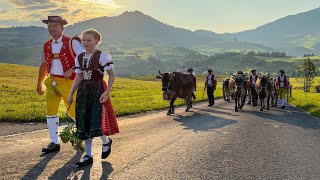 Alpauffahrt Appenzell 2023  Öberefahre Leimensteig  Appenzell  Steinegg  Weissbad  Lehmen [upl. by Bashemath]