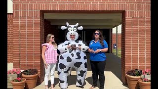 BESt Cow Patty Festival Promo [upl. by Joann755]