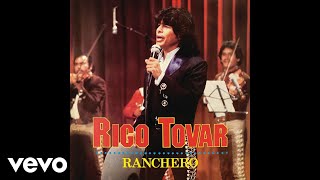 Rigo Tovar  Golondrina De Ojos Negros Versión Mariachi Audio [upl. by Efrem]