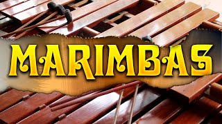 MARIMBAS MIX  Marimba Orquesta Reyna Fraylescana [upl. by Hume778]