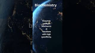 Unlocking the Power of Enzymes Exploring Biochemical Reactions and Metabolic Pathways [upl. by Monetta]