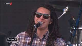 Tribal Seeds  Live at Summerjam Festival 2019 Full Concert HD [upl. by Anderer]