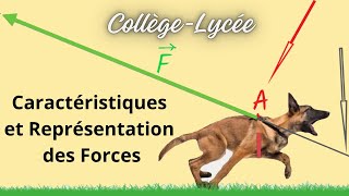 Comment caractériser et modéliser une force [upl. by Sirref]