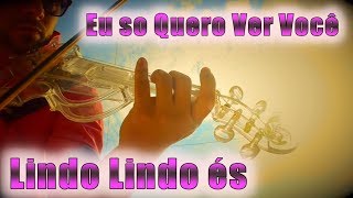 Lindo Lindo és  Eu só quero ver você  Michel Lima Violinista Cover [upl. by Hallagan]