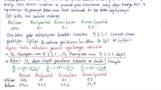 29 İstatistik  Ki kare uygunluk testi  Tek nitel değişkenli tablolar için [upl. by Llenet]