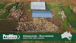 ProWay Sheepyards and Shearing Shed Murrulebale NSW [upl. by Salocin335]