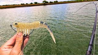 Creek Fishing For Barramundi  Townsville North Queensland  Australia [upl. by Ylrebme323]