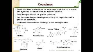 Enzimas Cofactores Enzimáticos [upl. by Sumedocin]