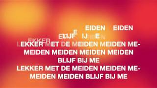 MEROL  Lekker met de meiden lyrics [upl. by Zebada394]