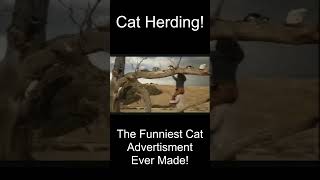 Cat Herding [upl. by Grover]