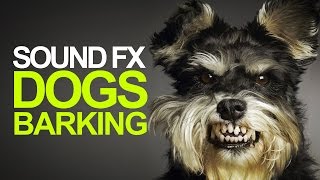 DOGS BARKING  Sound Effects High Quality [upl. by Irahs]