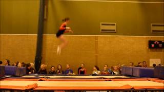 Loughborough 2013 Trampolining Routines [upl. by Baerman]