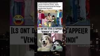 La Normandie😭meme drole viralvideo [upl. by Navi]