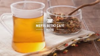 Nefis Bitki Çayı Tarifi mucizelezzetler [upl. by Sheply508]