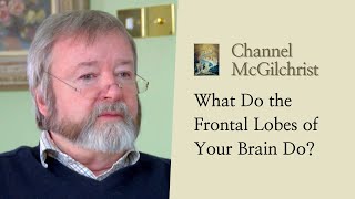 What the Frontal Lobes of Your Brain Do [upl. by Shay]