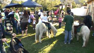 Canungra Show 2010 [upl. by Aguayo962]