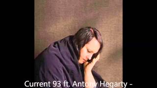 Current 93 ft Antony Hegarty Mourned Winter Then [upl. by Wj]