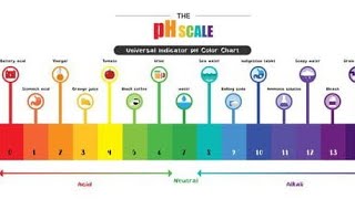 Acids Bsaes and salts Hydrogenionconcentration pHValue pH scale ☝️🙏🤳✍👍😇👩‍💻✍👏 [upl. by Eerdna]