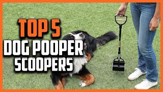 ✅Top 5 Best Dog Pooper Scoopers of 2024 [upl. by Wise]