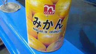 チヌ（クロダイ）は、雑食で有名な魚の黒鯛。実際に飼育し、色々なものを与えると驚くほど食べます。釣り人には酒粕、コーン、サナギが餌出知られていますが、他にもいろんなものを食べます。 [upl. by Hershell]